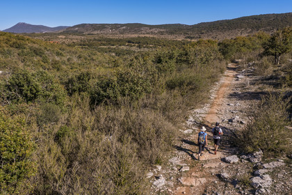 France, Herault, the Causses and the Cevennes, Mediterranean agro pastoral cultural landscape, listed as World Heritage by UNESCO, Saint Maurice Navacelles, hikers progressing on the GR 7 in a typical landscape of the Causse du Larzac, the Séranne massif which was formed on a coral reef in the background (aerial view)