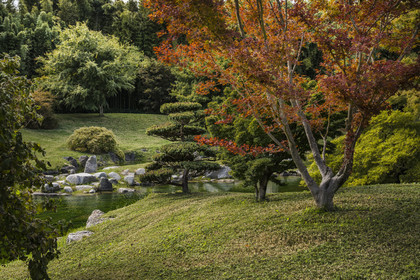 France, Gard, Generargues towards Anduze, Bambouseraie en Cévennes (Bamboo garden), the japanese garden