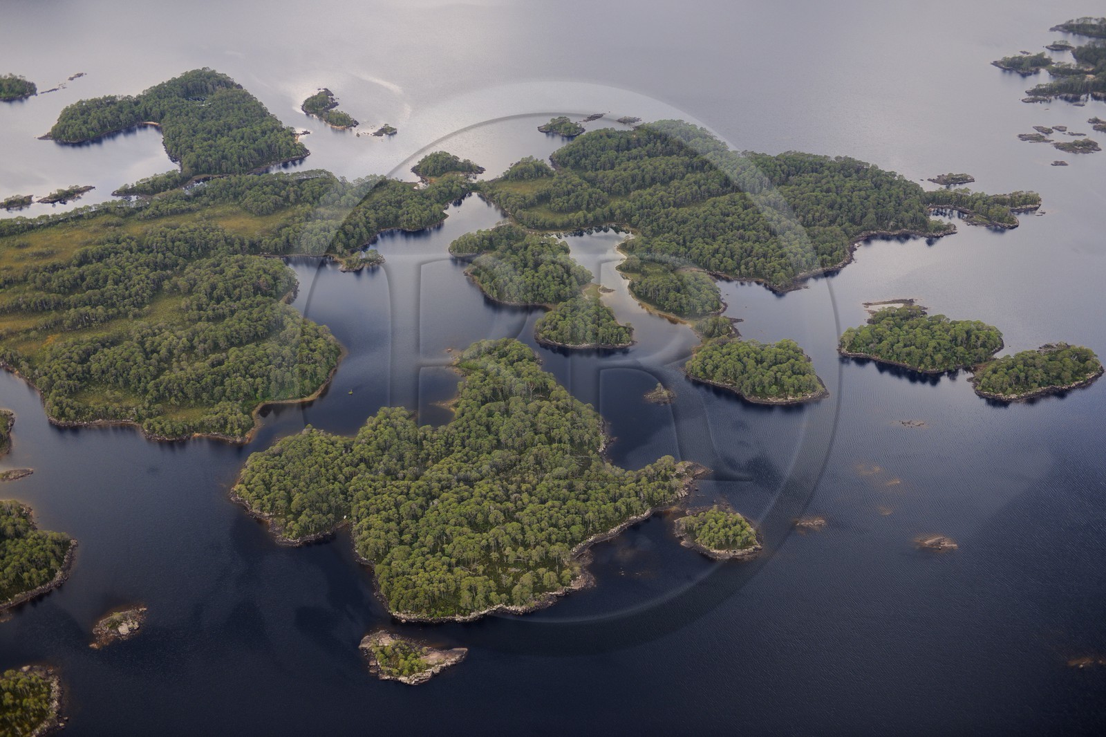 Royaume-Uni, Ecosse, Highland, îlots boisés dans le Loch Maree (vue aérienne)