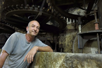 France, Var, Flayosc, the Flayosquet mill, the producer of olive oil Max Doleatto