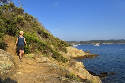 France, Var (83), Iles d'Hyères, parc national de Port Cros, Ile de Port-Cros, randonneuse dans une crique faisant face à l'Ile de Bagaud qui est une réserve intégrale