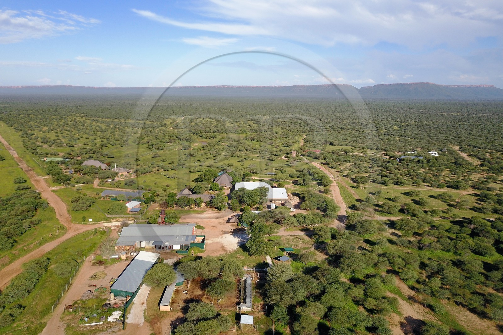 Namibie, Otjiwarongo, Cheetah Conservation Fund, centre de recherche et d'