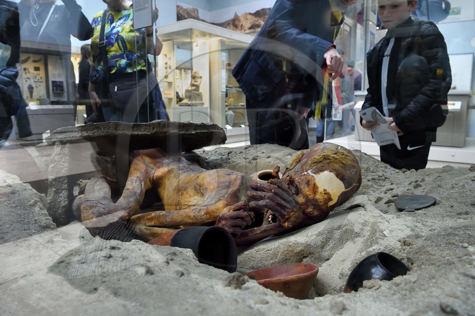 Royaume-Uni, Londres, quartier de Bloomsbury, le British Museum, Egypte ancienne, momie prédynastique de Gebelein, une momie naturelle ensevelie vers 3500 avant JC en Haute-Égypte
