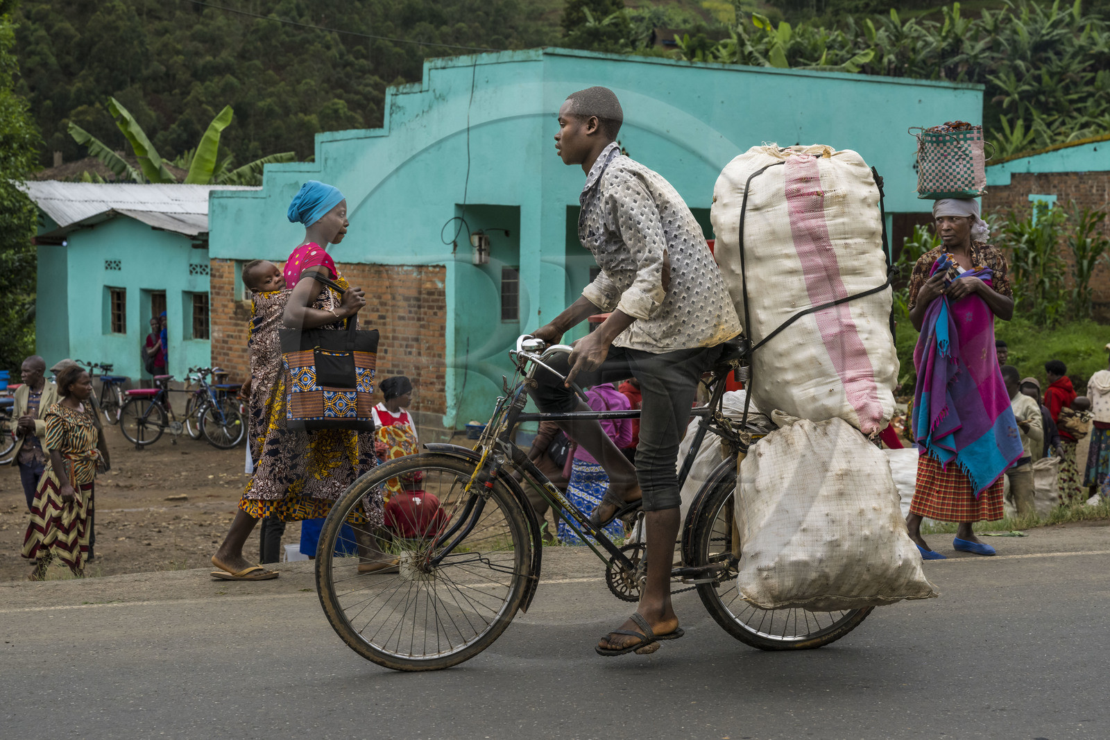 Rwanda, Province du Nord, District de Musanze (Ruhengeri), jour de marché à Muryabazira sur la Route Nationale 4 entre Kigali et Ruhengori, transport de gros sacs sur une bicyclette, les bicyclettes sont le principal moyen de transport local