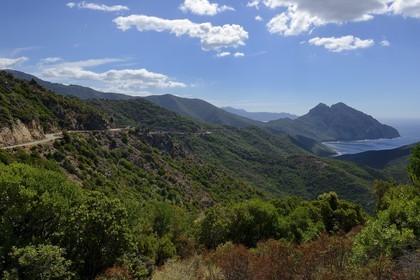 France, Corse-du-Sud (2A), Golfe de Girolata, classé Patrimoine Mondial de l'UNESCO, la route D81 qui va de Calvi à Porto et le Capo Senino depuis le Col de Palmarel