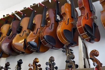 France, Dordogne, White Perigord, Perigueux, the stringed-instrument maker Damien Florio workshop