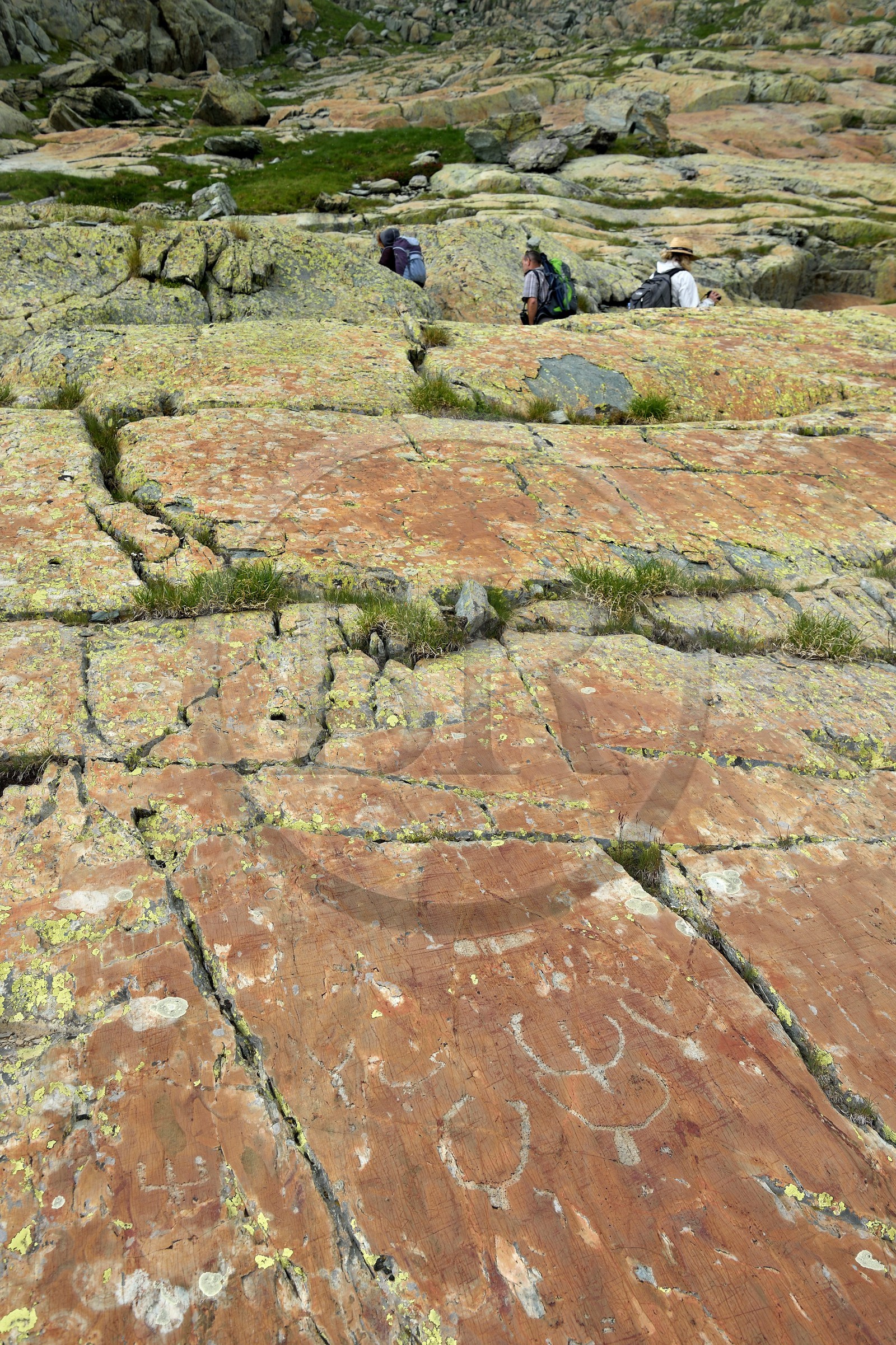 France, Alpes-Maritimes (06), parc national du Mercantour, Vallée des Merveilles parsemée de milliers de gravures rupestres de l'Age de bronze, figures corniformes sur la dalles de schiste jaune des chiappes