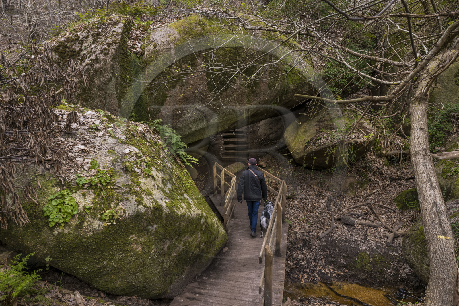 France, Côtes-d'Armor (22), Côte de Granit Rose, Trégastel, vallée des Grands Traouiero, sentier de randonnée évoluant dans le chaos de gros rochers granitiques