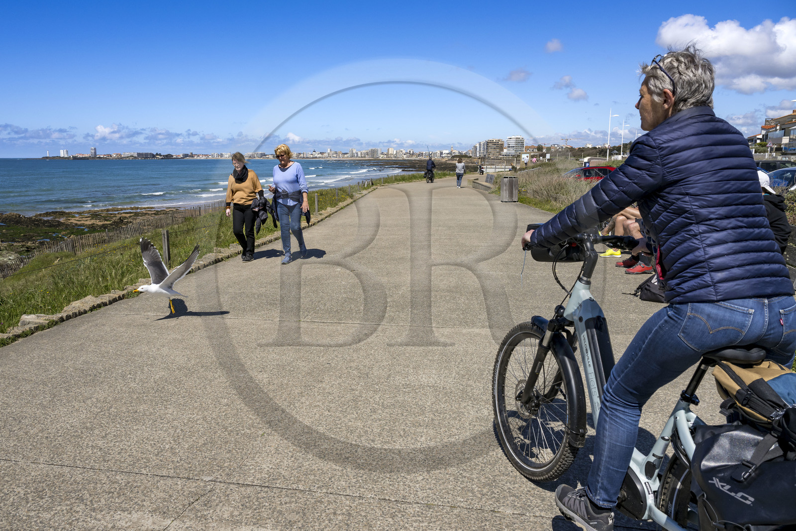 France, Vendée (85), Les-Sables-d'Olonne, le front de mer et grande plage de Tanchet, cycliste sur la piste de la véloroute Vendée Vélo Tour et Vélodyssée