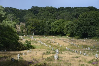 France, Morbihan, Carnac, row of megalithic standing stones at Kermario