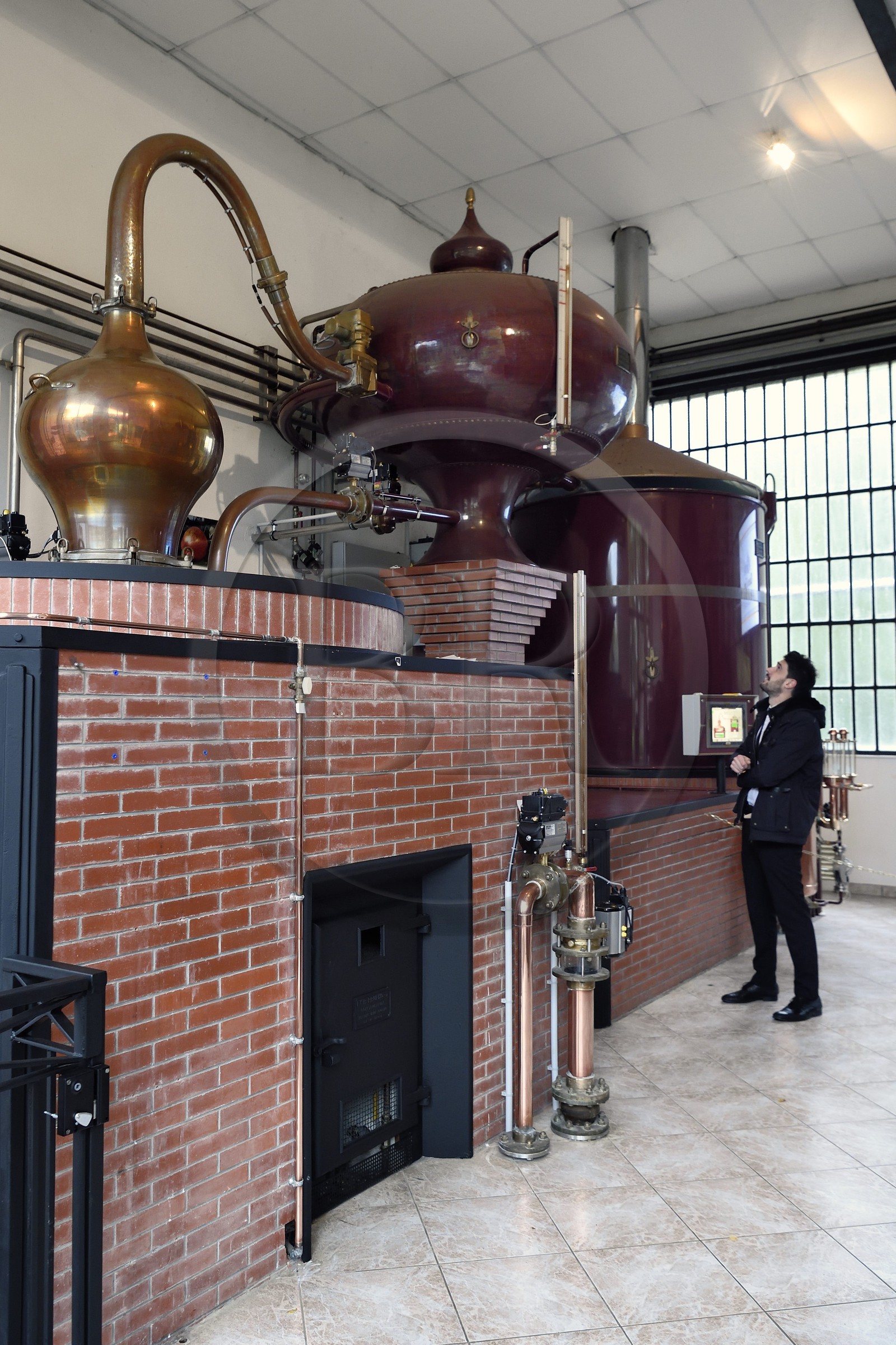 France, Calvados (14), Pays d'Auge, Le Breuil-en-Auge, Chateau du Breuil producteur de Calvados AOC Pays d’Auge, distillerie, alambic à repasse avec cuves de type cognac France, Calvados (14), Pays d'Auge, Le Breuil-en-Auge, Chateau du Breuil producteur de Calvados AOC Pays d’Auge, distillerie, alambic à repasse avec cuves de type cognac