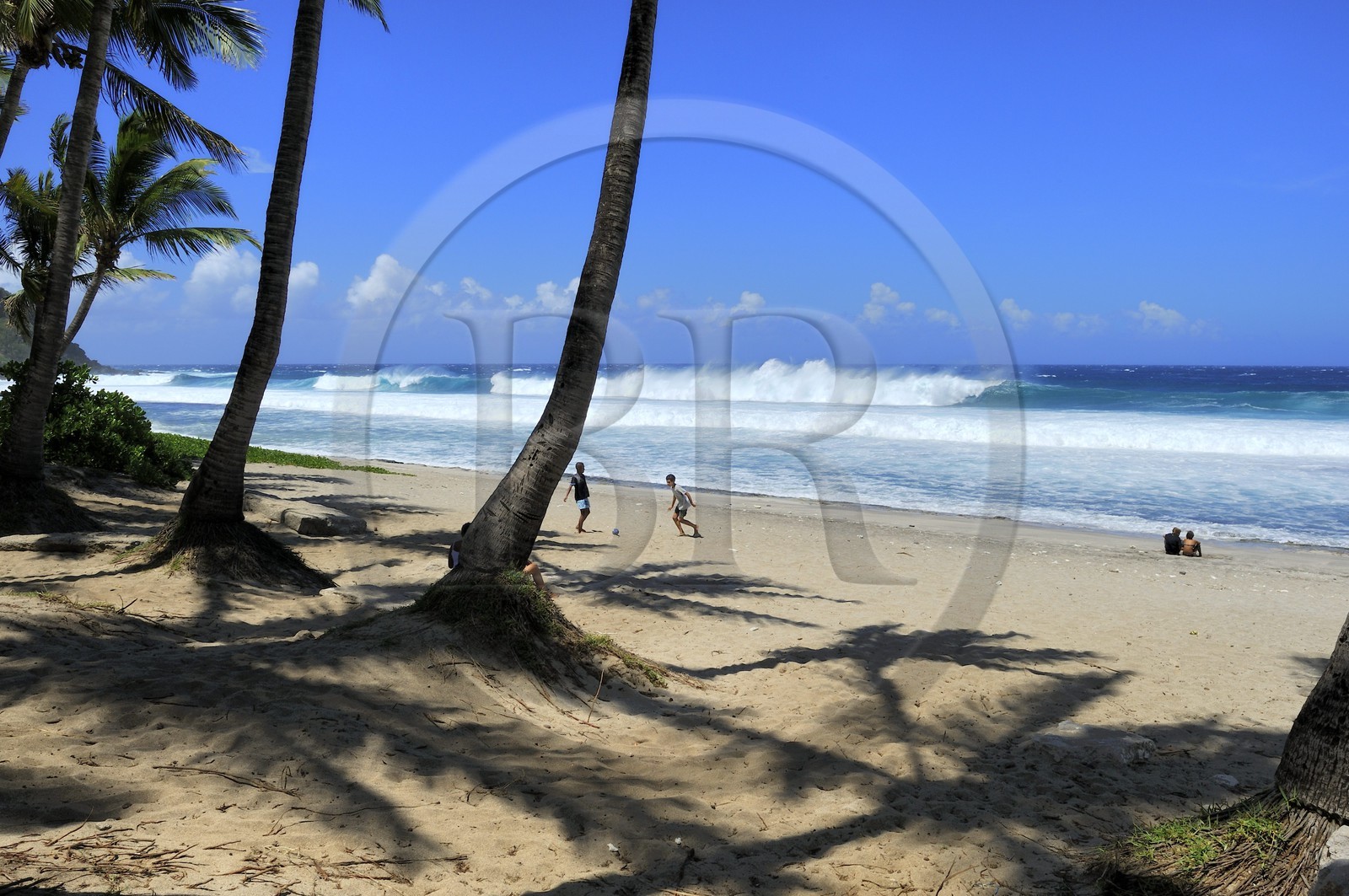 France, île de la Réunion, la côte sud, plage de Grand-Anse