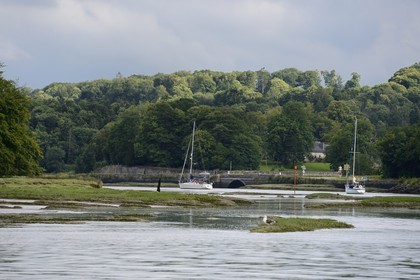 France, Finistère (29), voilier remontant Le Dossen ou rivière de Morlaix entre Locquénolé et Lanugy