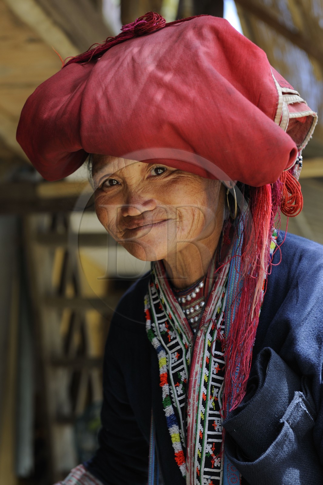 Vietnam, province de Lao Cai, région de Sapa, Ta Phin, femme de la minorité ethnique des Dzao Rouges Vietnam, province de Lao Cai, région de Sapa, Ta Phin, femme de la minorité ethnique des Dzao Rouges