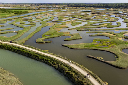 France, Vendée (85), Talmont Saint Hilaire, Guittière marshes in the hinterland of Pointe du Payré, Passage du Cul d’Ane, marshes developed for fish farming of sea bream, mullet and eels (aerial view)