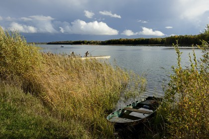 France, Meuse (55), Parc régional de Lorraine, Cotes de Meuse, Heudicourt-sous-les-Côtes, pêcheurs sur le lac de la Madine