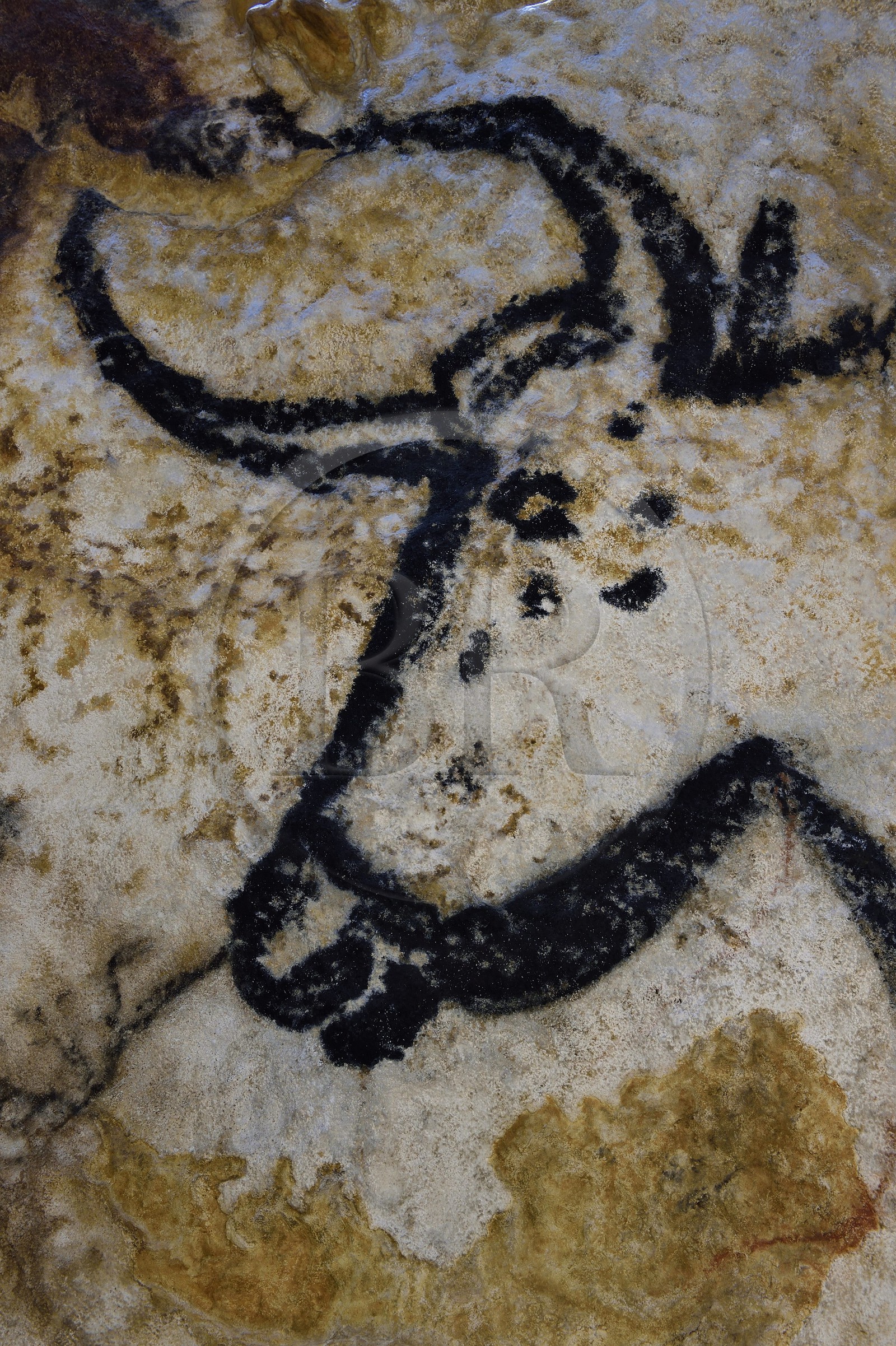 France, Dordogne (24), Montignac, l’Atelier des Fac-Similés du Périgord (AFSP) spécialisé dans la reproduction minérale de parois ornées de la préhistoire et en charge de la reconstitution fidèle des parois de la grotte de Lascaux, Aurochs, mention obligatoire Atelier des Fac-Similés du Périgord