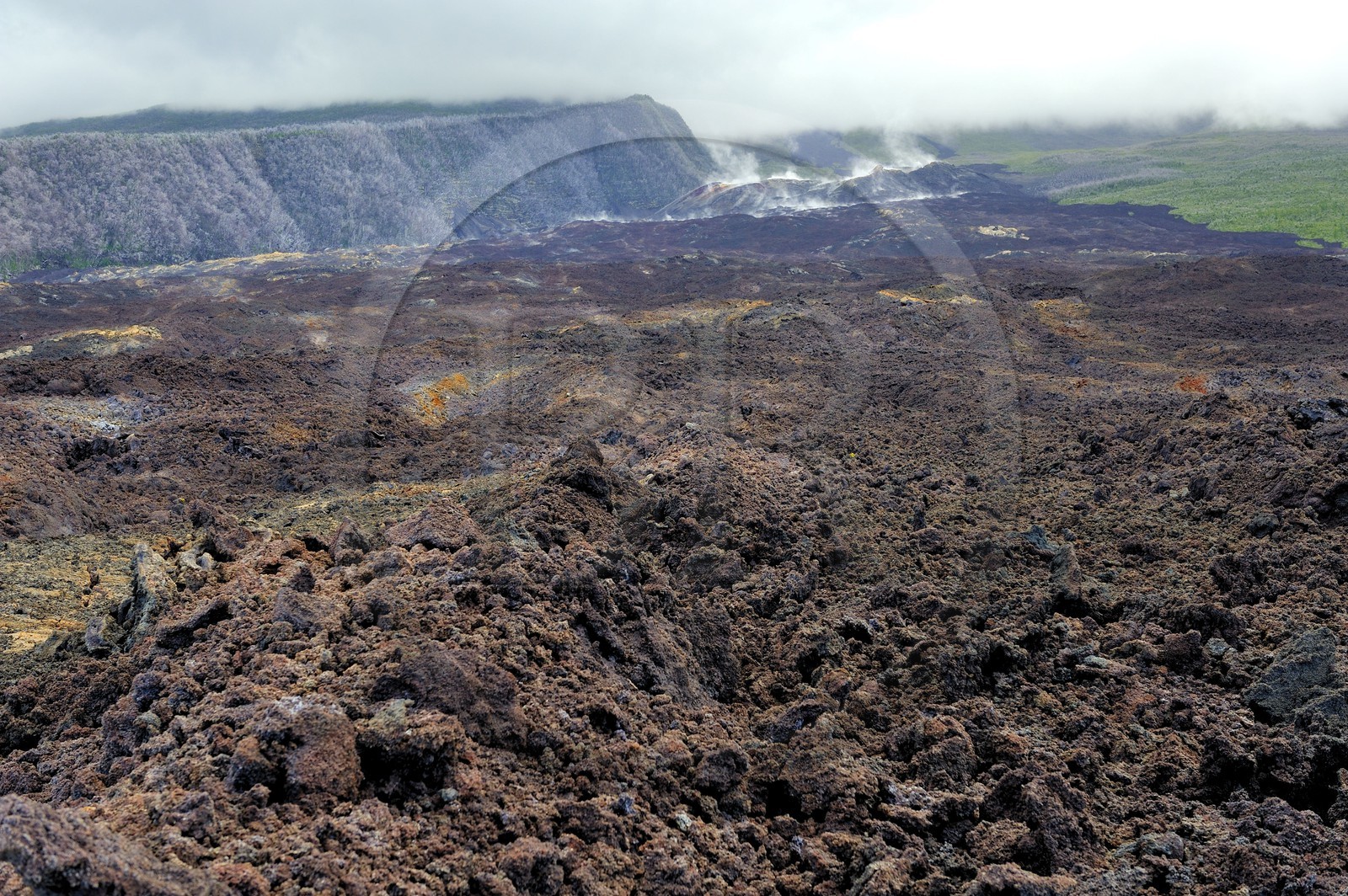 France, île de la Réunion, volcan du Piton de la Fournaise, classé Patrimoine Mondial de l'UNESCO, le Grand-Brûlé, coulée de lave récente