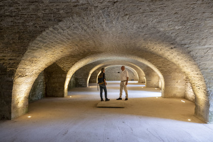 France, Côte-d'Or (21), Curtil-Vergy, ruines de l'abbaye Saint-Vivant de Vergy, l’ancien cellier des moines du prieuré clunisien
