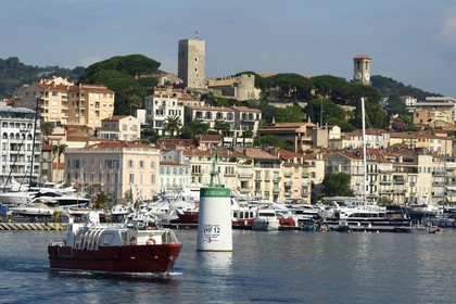 France, Alpes-Maritimes (06), Cannes, le port et la vieille ville dans le quartier Le Suquet, à son sommet la Tour du Suquet et le clocher de l'église Notre-Dame-de-l'Espérance