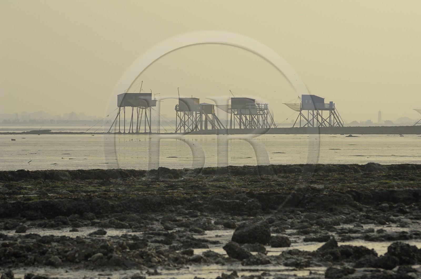 France, Charente-Maritime (17), Ile Madame, carrelets sur la côte