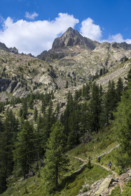 France, Alpes-Maritimes, Parc National du Mercantour (Mercantour national park), Haute Vesubie, Saint Martin Vesubie, Val du Haut Boréon, hikers on the way to the Cougourde refuge, Cime Guilié (2999m) in the background