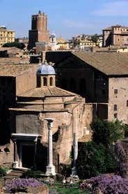 Italy, Lazio, Rome, the roman Forum