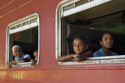 Sri Lanka, Uva Province, the popular scenic train ride through the tea growing hill country between Badulla and Ella