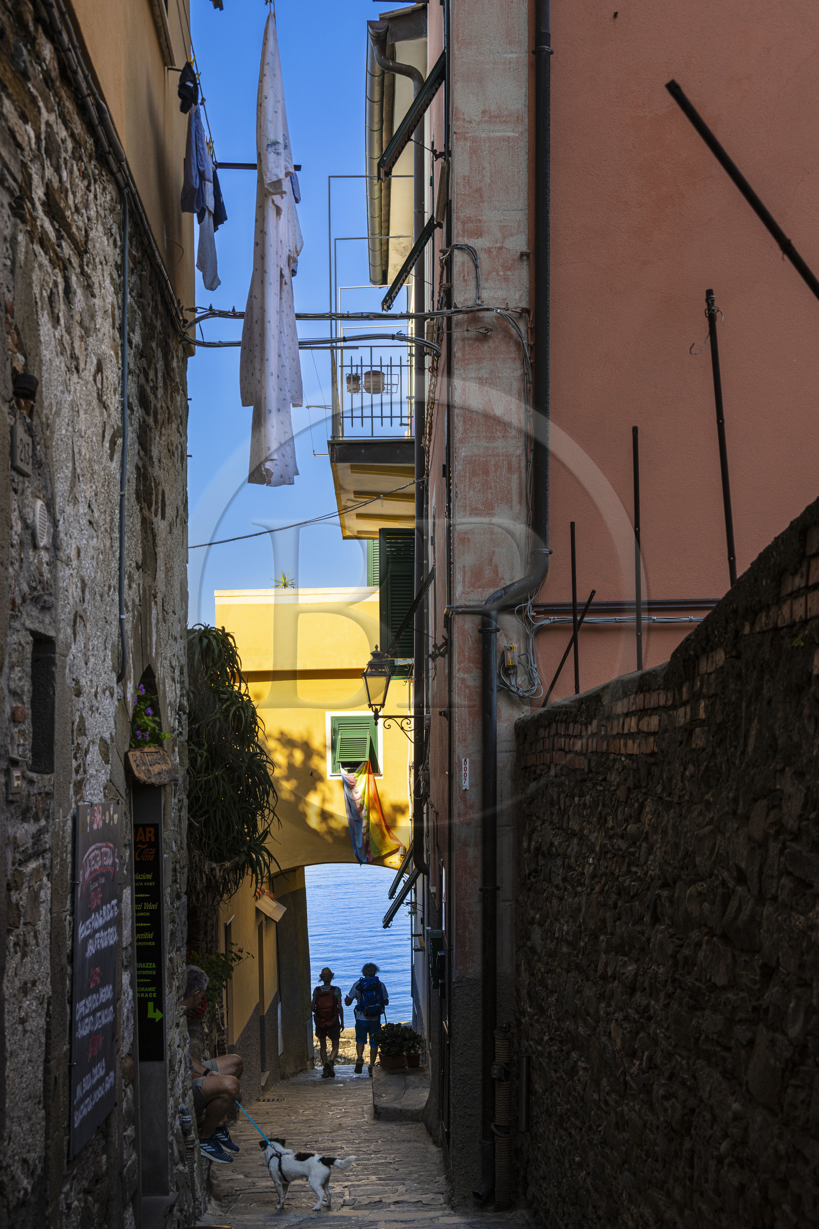 Italie, Ligurie, Cinque Terre, parc national des Cinque Terre classé Patrimoine Mondial de l'UNESCO, ruelle étroite via Solferino dans le village de  Corniglia