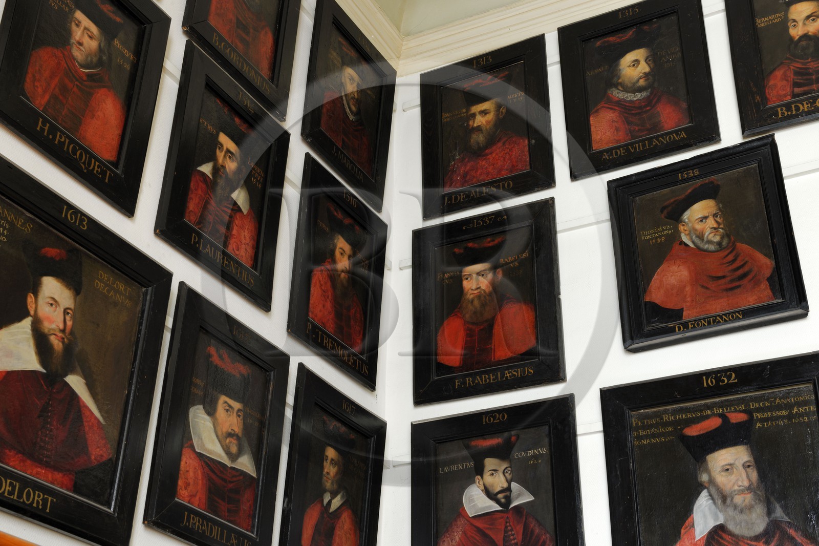 France, Herault, Montpellier, historical center, Medecine University, locker room of the teatchers, portraits of famous students among whom Rabelais