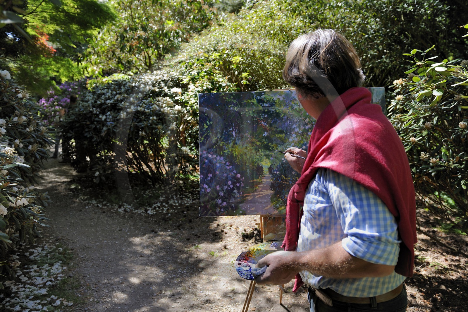 France, Seine-Maritime (76), Varengeville-sur-Mer, domaine Le Bois des Moutiers, le peintre Bertrand Laffillé s'inspire des grands rhododendrons du parc