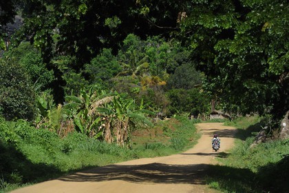 Tanzania, Morogoro district, Uluguru mountains, motocycle on the Matombo track