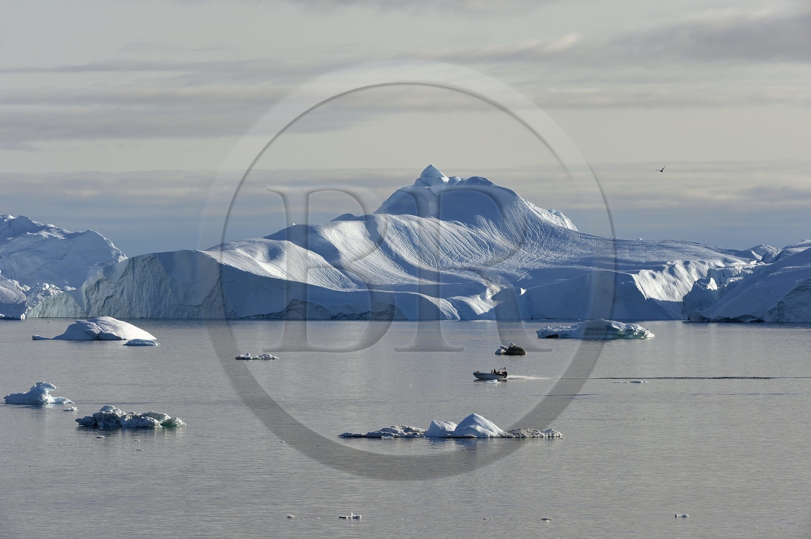 Groenland, cote ouest, baie de Disko, Ilulissat, hors-bord traversant le site du fjord glacé classé Patrimoine Mondial de l'UNESCO