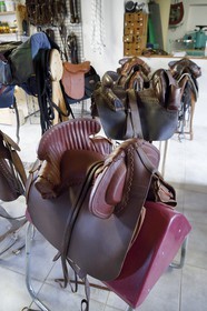 France, Gard, Fourques, Victor Mailhan Saddlery, saddle of camarguais gardian
