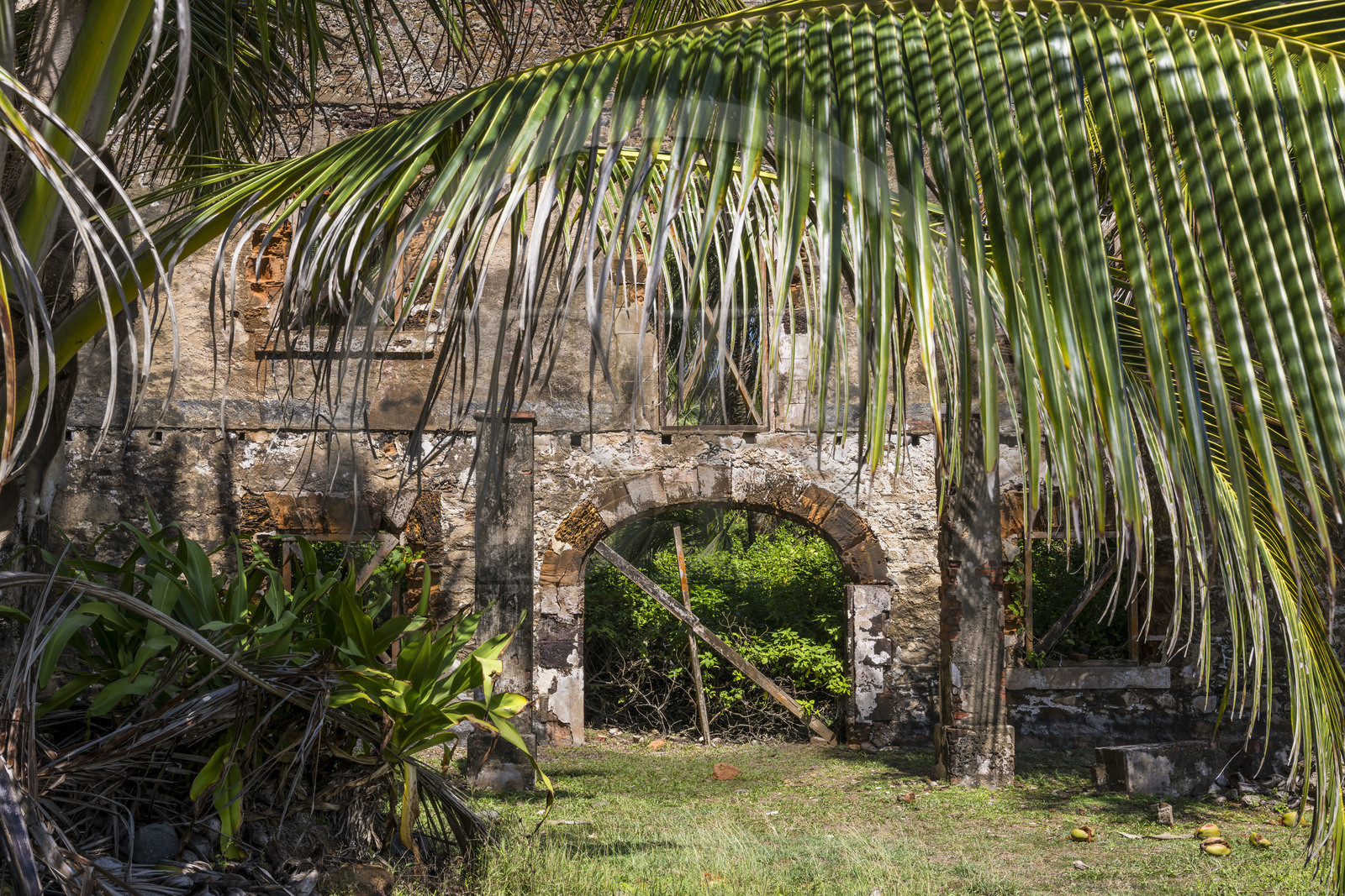 France, Guyane, Kourou, Iles du Salut, ruines de l'atelier des travaux sur l'Ile Royale