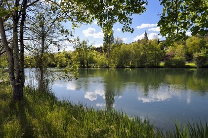 France, Charente (16), Saint-Simeux, La Charente que longe la véloroute la Flow Vélo