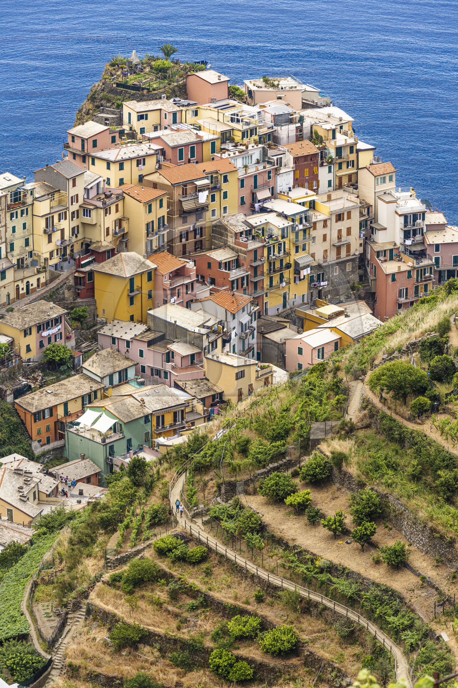 Italie, Ligurie, Cinque Terre, parc national des Cinque Terre classé Patrimoine Mondial de l'UNESCO, village de Manarola