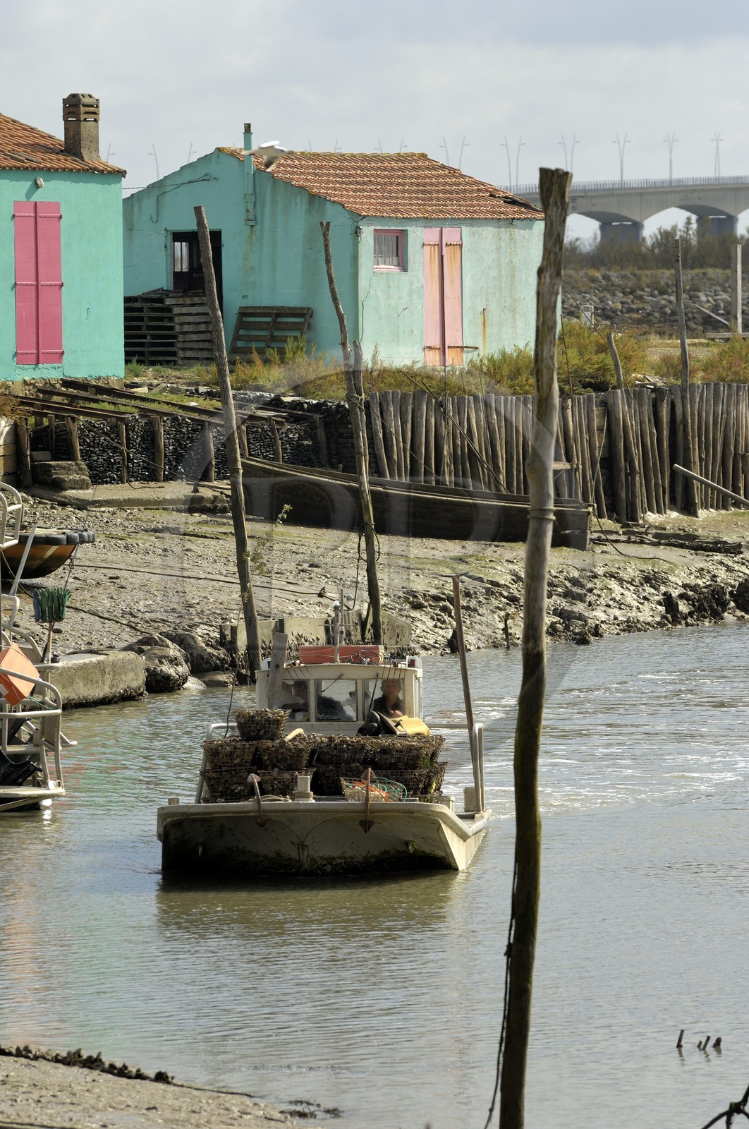 France, Charente-Maritime (17), Ile d'Oléron, le chenal d'Ors, chaland à huîtres dans le port ostréicole