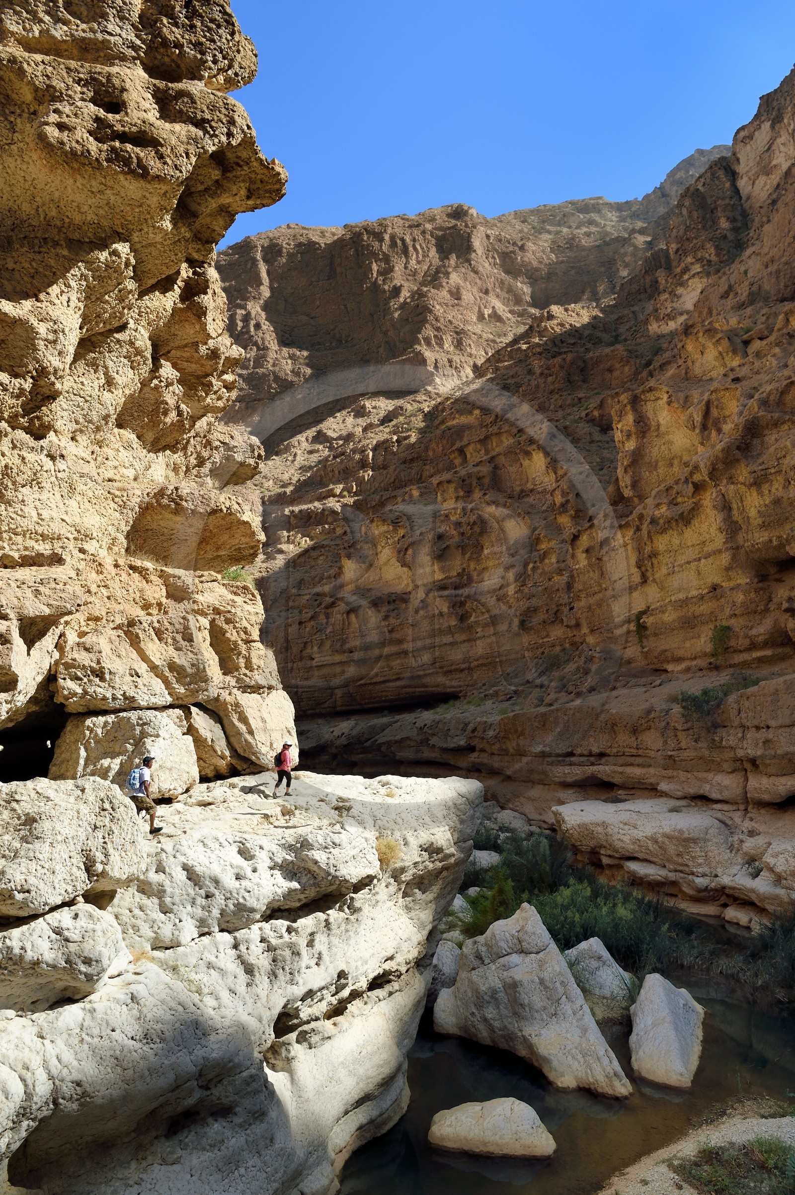 Sultanat d'Oman, région d'Ash Sharqiyah, Tiwi, randonneurs dans le Wadi ash Shab Sultanat d'Oman, région d'Ash Sharqiyah, Tiwi, randonneurs dans le Wadi ash Shab