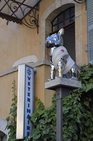 France, Var, Provence Verte, Cotignac, cours Gambetta, dog bandaged as a sign of a veterinary clinic