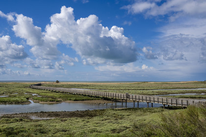 France, Vendée (85), La Tranche-sur-Mer, passerelle de la Réserve naturelle de la Casse de la Belle Henriette, l'une des dernières véritables lagunes de la côte atlantique