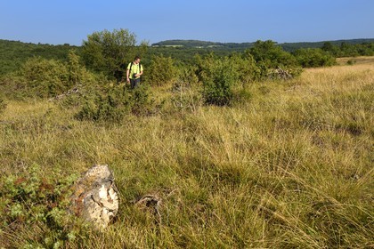 France, Dordogne (24), parc naturel régional Périgord Limousin, Périgord Vert, commune de La Rochebeaucourt-et-Argentine, plateau d'Argentine, Cédric Devilleger Chargé de mission Natura 2000 Dronne Argentine dans la pelouse cacicole habitat d'interet communautaire