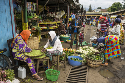 Rwanda, Province du Nord, Musanze (anciennement nommée Ruhengeri), le marché central, femmes écossant des petits pois