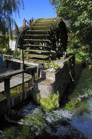 France, Seine-Maritime, Veules-les-Roses, ruins of a former water mill on the Veules, famous river for the short length of its course (1100 m)