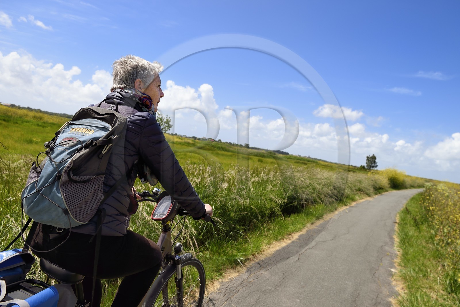 France, Charente-Maritime (17), Rochefort, cyclistes sur la véloroute La Flow Vélo dans les zones inondables de l'estuaire de la Charente