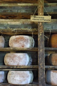 Italy, Emilia Romagna, Polesine Zibello near Parma, Antica Corte Pallavicina, wheels of Parmigiano Reggiano