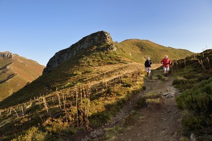 France, Cantal, Parc Naturel Régional des Volcans d'Auvergne (regional nature park of Auvergne volcanoes),  Le Lioran, col de Rombiere (mountain pass), hikers on the Way of St. James to Santiago de Compostela by Via Arverna, the col de Cabre and the Puy Bataillouse in the background