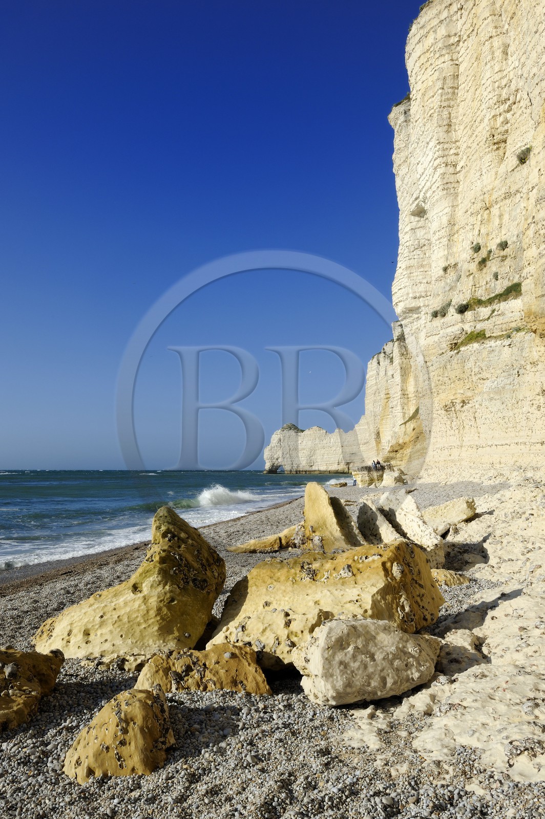 France, Seine-Maritime (76), Pays de Caux, Côte d'Albâtre, Etretat, la falaise d'Amont