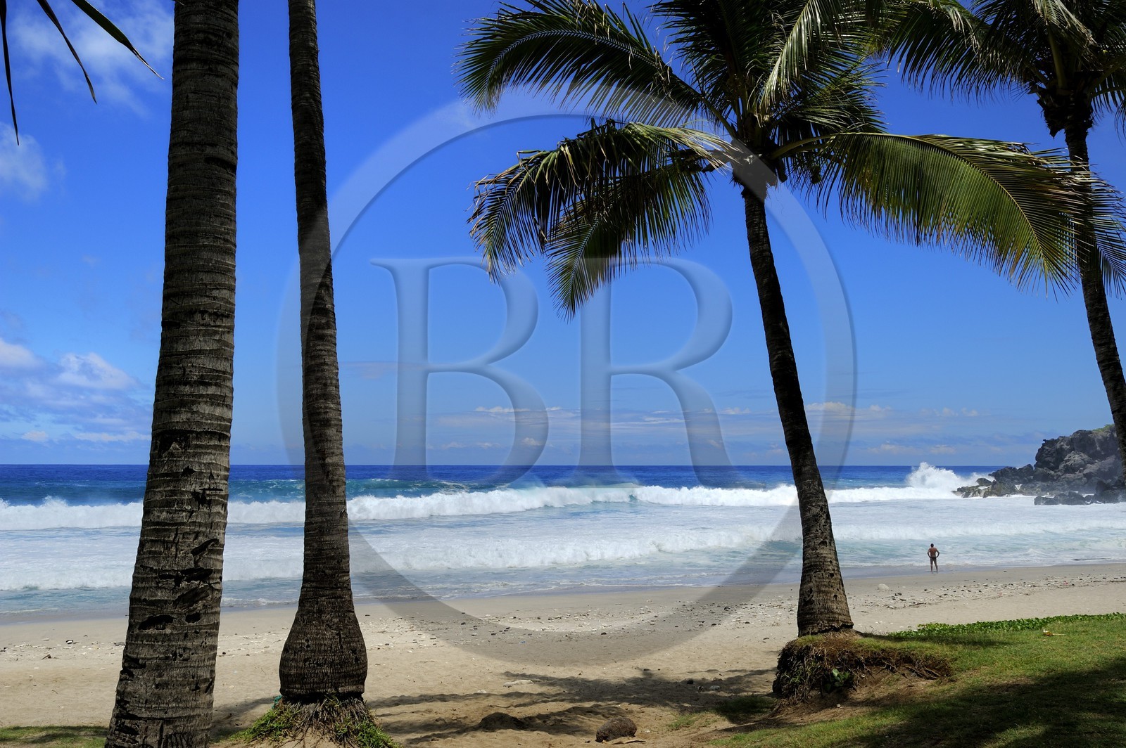 France, île de la Réunion, la côte sud, plage de Grand-Anse