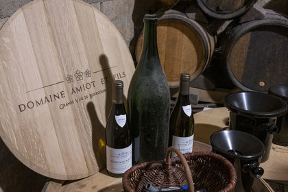 France, Cote d'Or, cultural Landscape of the climates of Burgundy listed as World Heritage by UNESCO, Route des Grands Crus (road of Vintage Wines), vineyard of the Côte de Nuits, Morey Saint Denis, Domaine Amiot et fils, Bourgogne Aligoté bottles